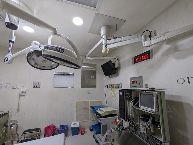 Foto de la galeria de imagenes