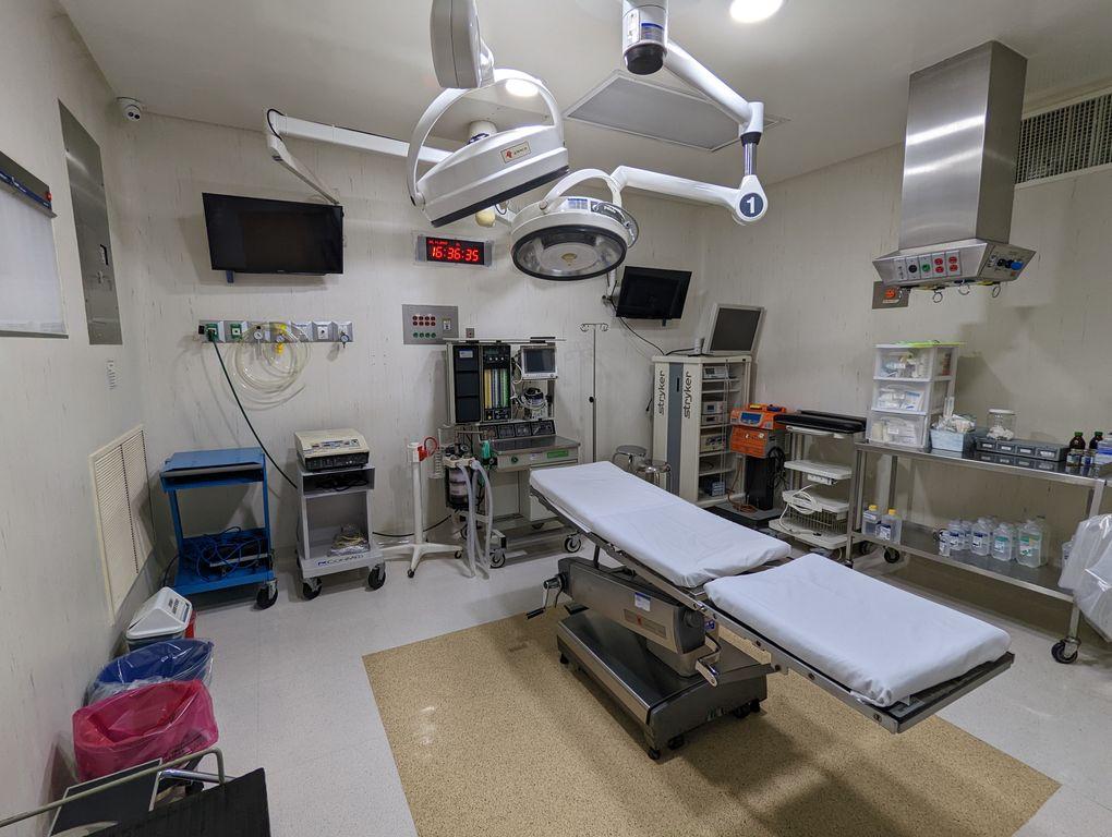 Foto de la galeria de imagenes