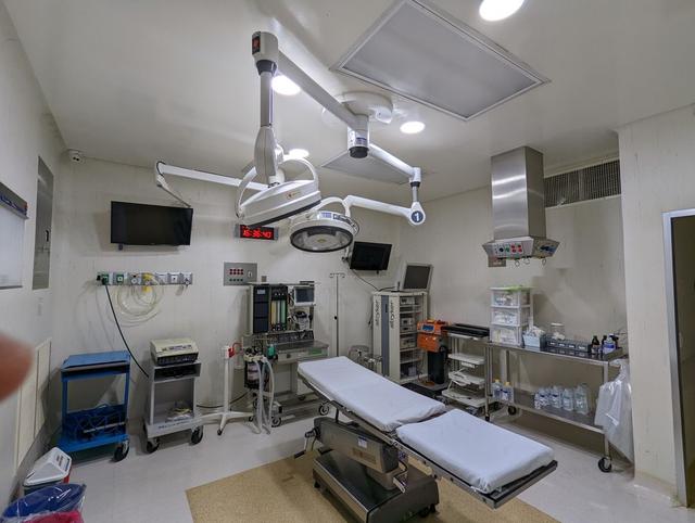 Foto de la galeria de imagenes